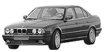 BMW E34 P0E4E Fault Code